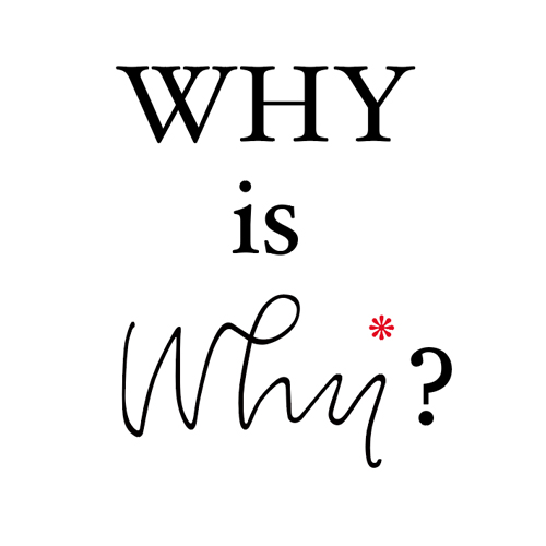 Why is Why?